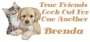 True friends