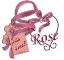 Hello Friend!,Rose