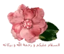 islamicgreeting