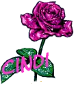 Pink Glitter Rose - Cindi
