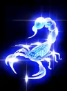 blue scorpion