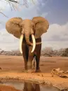 elephant at water