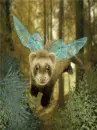 flying ferret