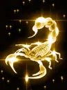 gold scorpion