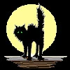scardy cat