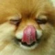 Touch ur nose