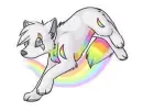 RainBow-Wolf