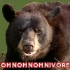 Bear goes omnom