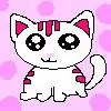cute cat