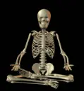 yoga skeleton