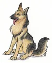 german sheperd