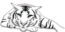 Tiger Blue white son