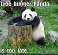 funny animal