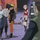 team 7