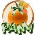 Pami ... avatar