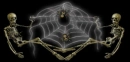 web skeletons