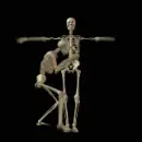 kung fu skeletons