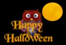 halloween owl