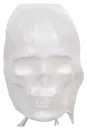skull mask