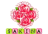 sakina rose