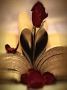 Love....