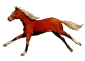 Chestnut Runner