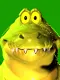 cool gator