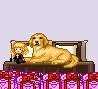 Papparazzi Doll And Labrador