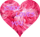 Pink Flowers - Cindi Loves You