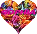 Rainbow Roses - Sophia