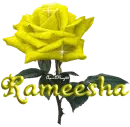 yellow rose rameesha