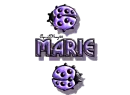 purple traveling ladybugs marie