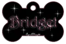 pink dog bone tag stars bridget