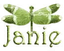 green dragonfly janie