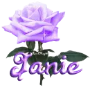 purple rose janie