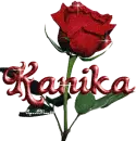 red rose kanika