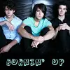 Jonas Brothers