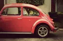 VW Bug