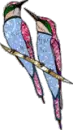 two birds