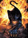 panther fire
