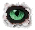 jungle eye