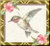 hummingbird