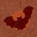 redbat tile