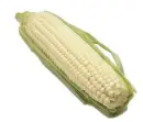 sweet corn
