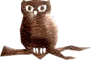 brown owl