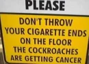 Cockroachs
