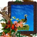 Frame