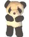 panda teddy