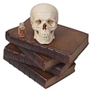 skull books 2