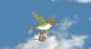 bird flying